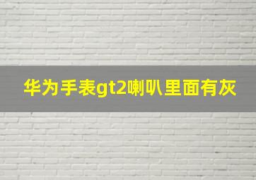 华为手表gt2喇叭里面有灰