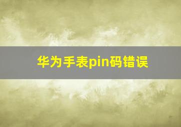 华为手表pin码错误