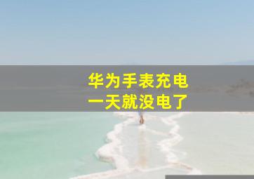 华为手表充电一天就没电了