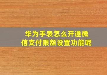 华为手表怎么开通微信支付限额设置功能呢