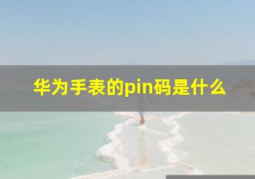 华为手表的pin码是什么