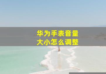 华为手表音量大小怎么调整