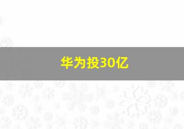 华为投30亿