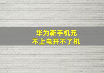 华为新手机充不上电开不了机