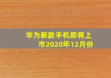 华为新款手机即将上市2020年12月份