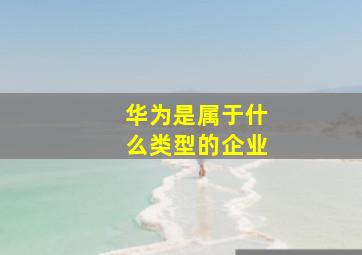 华为是属于什么类型的企业