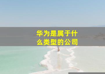 华为是属于什么类型的公司