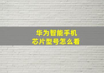 华为智能手机芯片型号怎么看