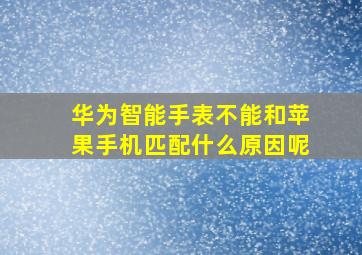 华为智能手表不能和苹果手机匹配什么原因呢