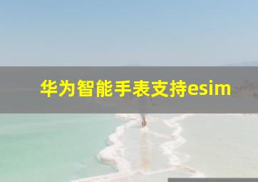 华为智能手表支持esim