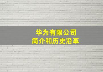 华为有限公司简介和历史沿革