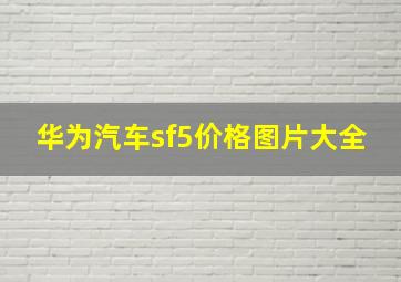 华为汽车sf5价格图片大全