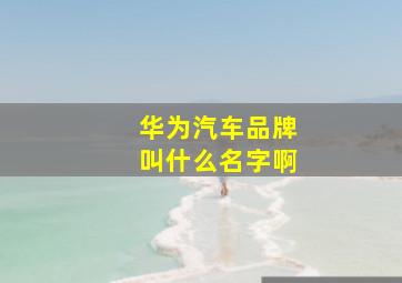 华为汽车品牌叫什么名字啊