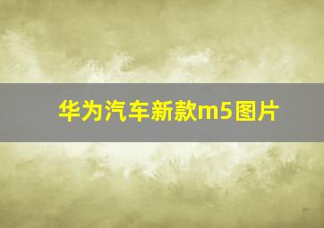 华为汽车新款m5图片