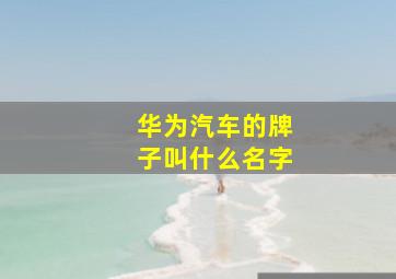 华为汽车的牌子叫什么名字