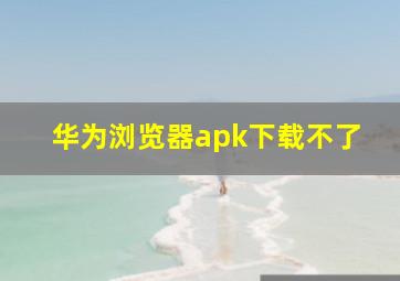 华为浏览器apk下载不了