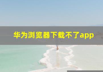 华为浏览器下载不了app