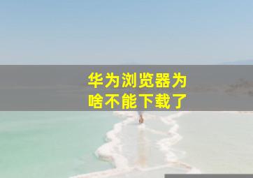 华为浏览器为啥不能下载了