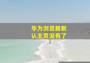 华为浏览器默认主页没有了