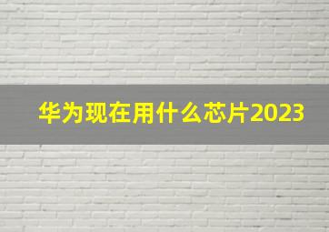 华为现在用什么芯片2023