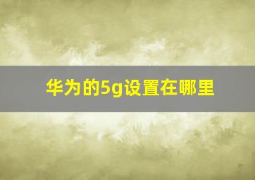 华为的5g设置在哪里