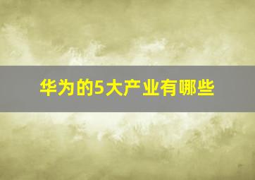 华为的5大产业有哪些