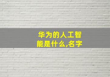 华为的人工智能是什么,名字