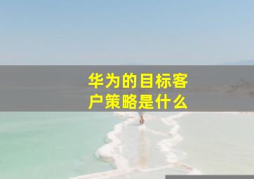 华为的目标客户策略是什么