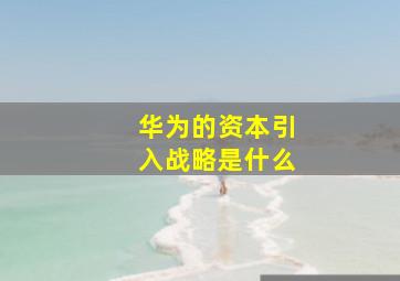 华为的资本引入战略是什么