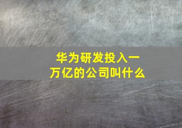 华为研发投入一万亿的公司叫什么