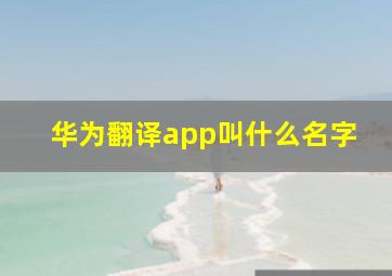 华为翻译app叫什么名字