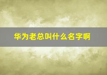 华为老总叫什么名字啊