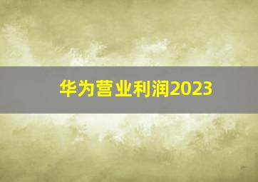 华为营业利润2023