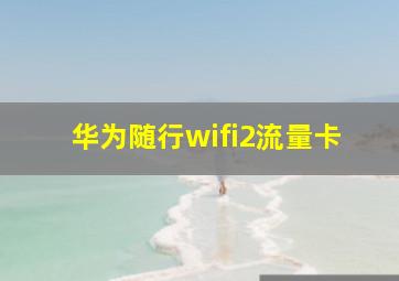 华为随行wifi2流量卡