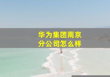 华为集团南京分公司怎么样