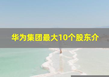 华为集团最大10个股东介