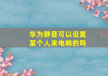 华为静音可以设置某个人来电响的吗