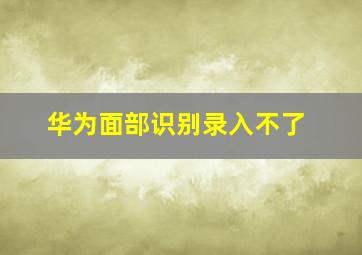 华为面部识别录入不了