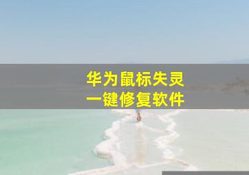 华为鼠标失灵一键修复软件