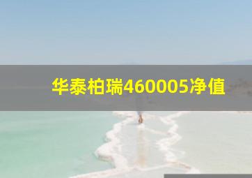 华泰柏瑞460005净值