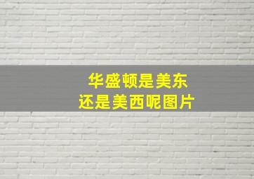 华盛顿是美东还是美西呢图片