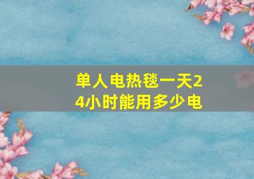 单人电热毯一天24小时能用多少电