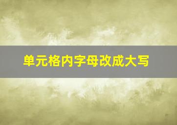 单元格内字母改成大写