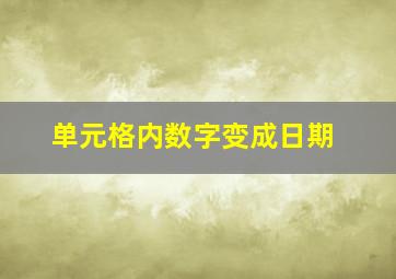 单元格内数字变成日期