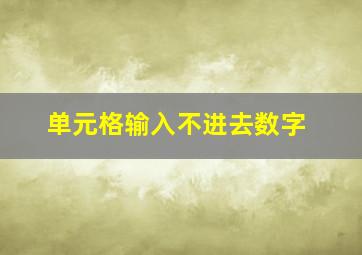 单元格输入不进去数字