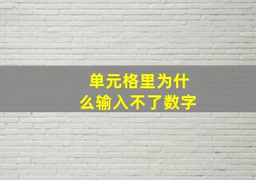 单元格里为什么输入不了数字