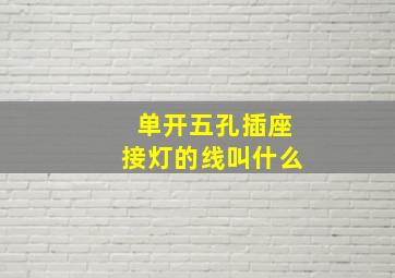 单开五孔插座接灯的线叫什么