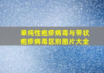 单纯性疱疹病毒与带状疱疹病毒区别图片大全