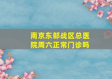 南京东部战区总医院周六正常门诊吗