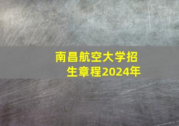 南昌航空大学招生章程2024年